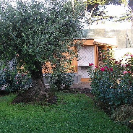 Bed and Breakfast Al Vecchio Olivo Frascati Exterior foto