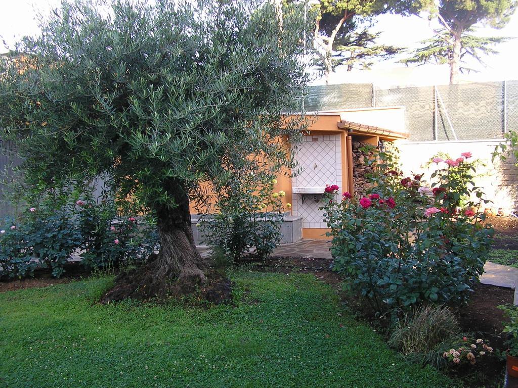 Bed and Breakfast Al Vecchio Olivo Frascati Exterior foto